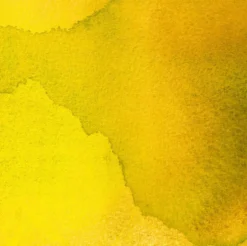 Tusz do kaligrafii India Ink - Speedball - Canary 29 ml