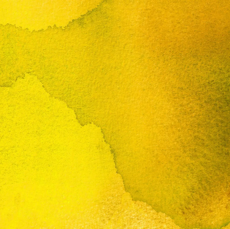 Tusz do kaligrafii India Ink - Speedball - Canary 29 ml