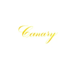 Tusz do kaligrafii India Ink - Speedball - Canary 29 ml