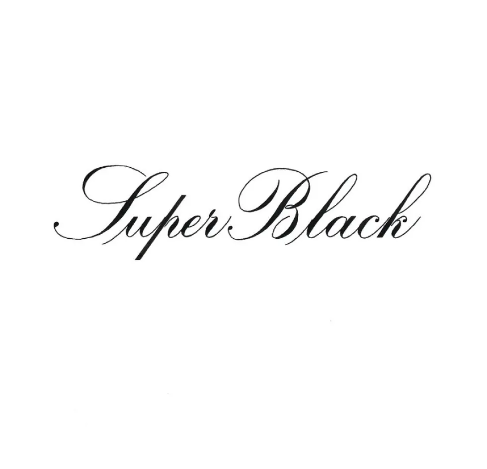 Tusz do kaligrafii India Ink - Speedball - Super Black 59 ml