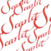 Tusz do kaligrafii - Winsor & Newton - scarlet, 30 ml