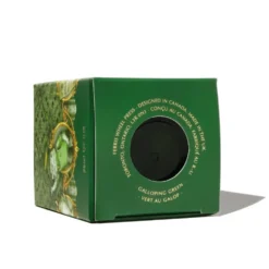 Tusz wodoodporny - Ferris Wheel Press - Galloping Green 28 ml