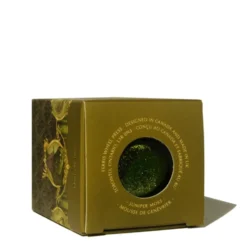 Tusz wodoodporny - Ferris Wheel Press - Juniper Moss, 28 ml