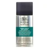 Werniks w sprayu General Purpose - Winsor & Newton - matowy, 150 ml