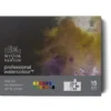 Zestaw farb akwarelowych Professional w półkostkach - Winsor & Newton - 15 kolorów
