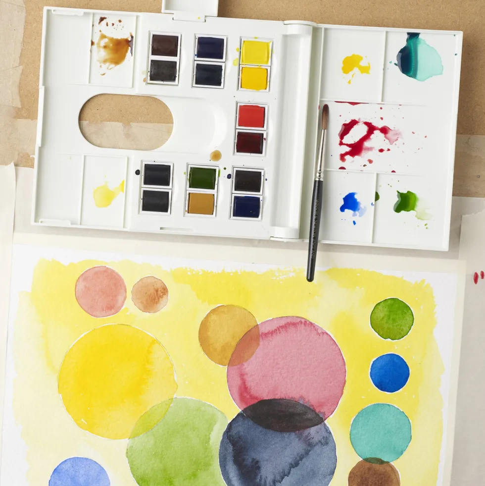 Zestaw farb akwarelowych Professional w półkostkach - Winsor & Newton - 15 kolorów