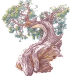 Zestaw kredek Drawing - Derwent - 36 szt.