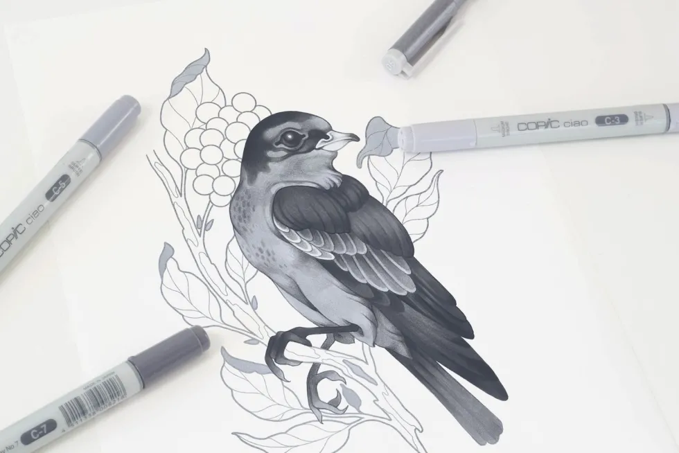 Zestaw markerów dwustronnych Copic Ciao Shade - Dark Cool Gray