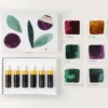 Zestaw mini atramentów Botanical - Tom's Studio - 6 x 5 ml