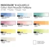 Zestaw pasteli akwarelowych Neocolor II Pastel - Caran d'Ache - 10 szt.