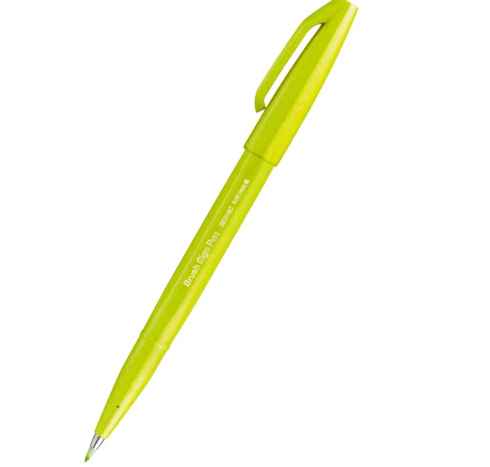 Zestaw pisaków artystycznych Brush Sign Pen - Pentel - Kolorowa Rafa, 6 szt.