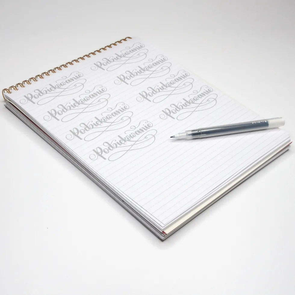 Zeszyt z ćwiczeniami do brush letteringu Flourishing, B5 - Devangari - 170 g/m2