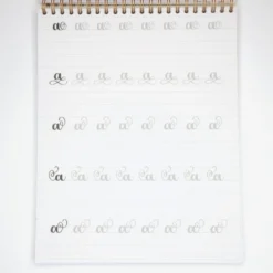 Zeszyt z ćwiczeniami do brush letteringu Flourishing, B5 - Devangari - 170 g/m2