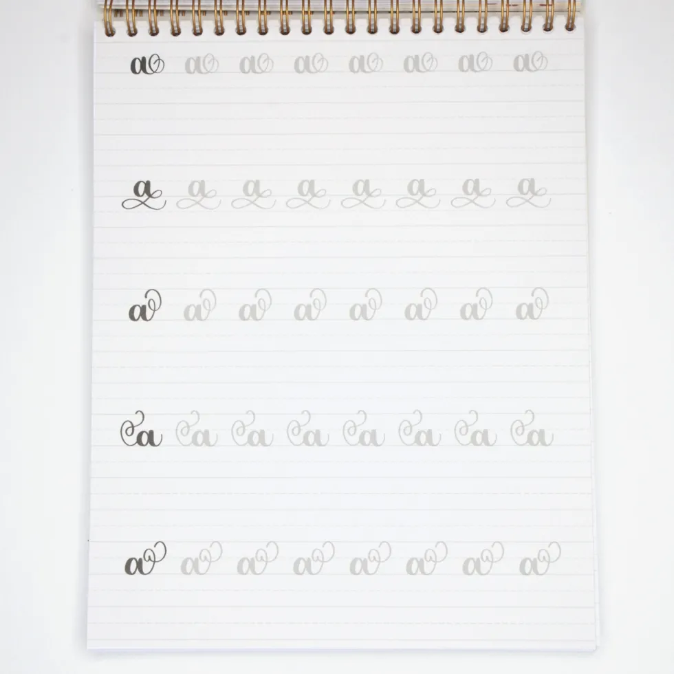 Zeszyt z ćwiczeniami do brush letteringu Flourishing, B5 - Devangari - 170 g/m2