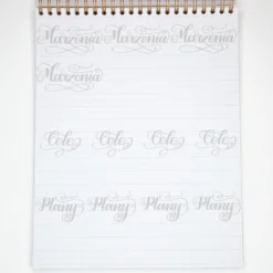 Zeszyt z ćwiczeniami do brush letteringu Flourishing, B5 - Devangari - 170 g/m2