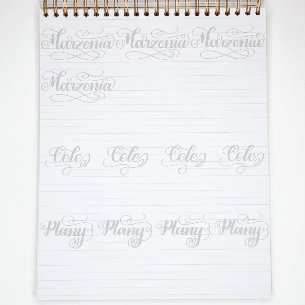 Zeszyt z ćwiczeniami do brush letteringu Flourishing, B5 - Devangari - 170 g/m2
